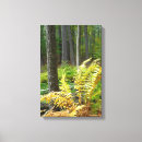 Suche nach wiesen leinwandbilder Wald