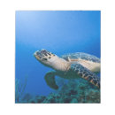 Suche nach unterwasser notizblock Schwimmen