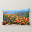 Suche nach hügel kissen Blau