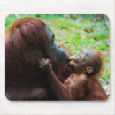Suche nach orang utan mousepads Affe