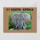 Suche nach junger elefant postkarten Tier