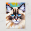 Suche nach ragdoll postkarten Cat