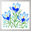 Suche nach krokus poster Für sie