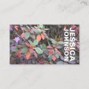 Suche nach buntes blatt visitenkarten Herbst