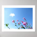 Suche nach blaue sommer blumen kunst Blauer himmel