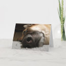 Suche nach wecken karten Hund