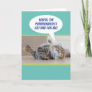 Suche nach verrückte katze karten Lustig