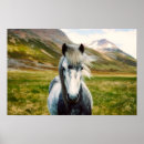 Suche nach wild horse poster Natur