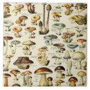 Suche nach mushroom fliesen Braun