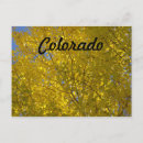 Suche nach aspen postkarten Farbenspiel