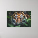 Suche nach fleischfresser kunst Tiger