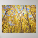 Suche nach heller wald poster Herbst