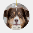 Suche nach australian shepherd ornamente Niedlich