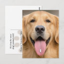 Suche nach pille postkarten Für alle