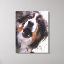 Suche nach border collie leinwandbilder Niedlich