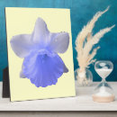 Suche nach tropfen fotoplatten Natur