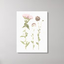 Suche nach rosa blüte leinwandbilder Floral