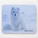 Suche nach fuchs mousepads Tierwelt