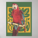 Suche nach parrot poster Tiere