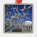 Suche nach niederlassung ornamente Baum