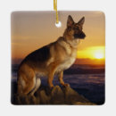 Suche nach german ornamente Pet