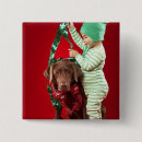 Suche nach schokolade labrador buttons Weihnachten