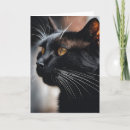 Suche nach black cat karten Haustier