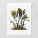 Suche nach birkenbäume postkarten Natur