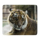 Suche nach der tiger schneidebrettchen Jede person