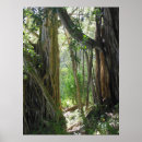 Suche nach feigen poster Botanisch