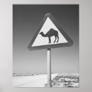 Suche nach naher osten poster Weiß