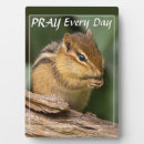 Suche nach chipmunk fotoplatten Niedlich
