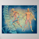 Suche nach anatomie poster Wirbelsäule