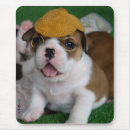 Suche nach britische bulldogge mousepads Niedlich