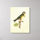 Suche nach grüner vogel leinwandbilder Gemälde