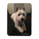 Suche nach westie magnete Welpe