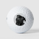 Suche nach pug Für ihn