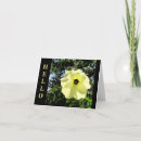 Suche nach helen karten Blume