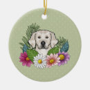 Suche nach bunte blumen ornamente Natur