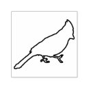 Suche nach männlicher kardinal Vögel