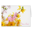 Suche nach forsythia postkarten Blüten