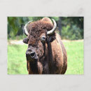 Suche nach wyoming flagge postkarten Staat