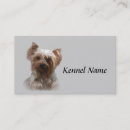Suche nach yorkshire terrier visitenkarten Welpe