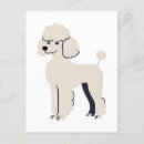 Suche nach pudel postkarten Hund