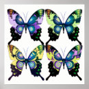 Suche nach eleganter schmetterling poster Für kinder