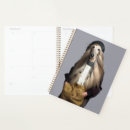 Suche nach afghanische geschenke Für sie