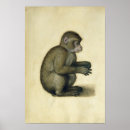 Suche nach c16th poster C15th