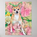Suche nach niedlicher chihuahua poster Hund