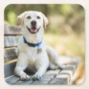 Suche nach labrador untersetzer Lächeln