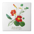 Suche nach essbar untersetzer Elegant